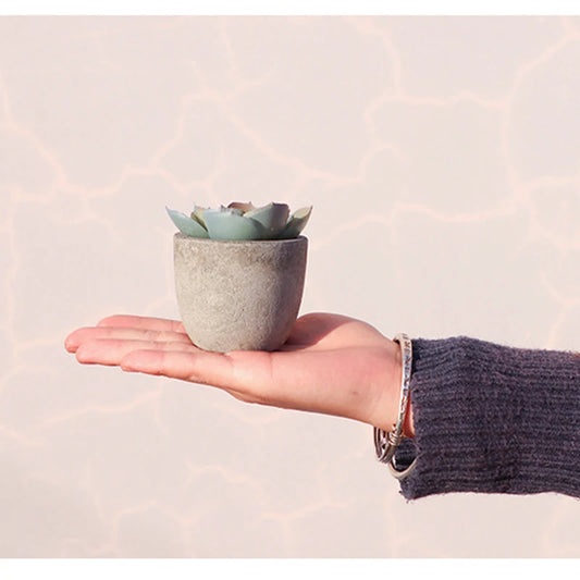 Mini Artificial Aloe Plants in Pot