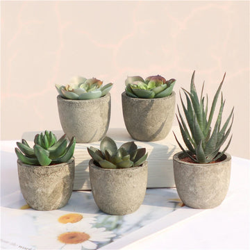 Mini Artificial Aloe Plants in Pot