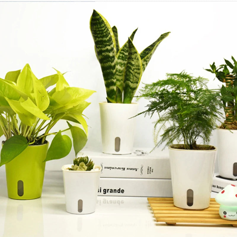 Automatic Self-Watering Plant Pot